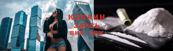 гидра Киренск