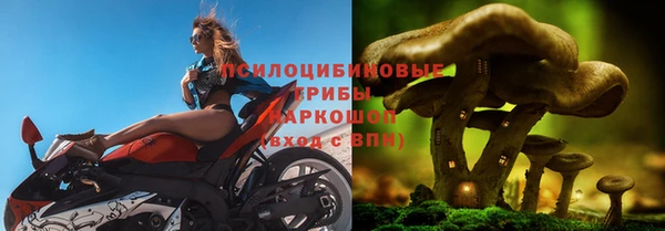 apvp Киреевск