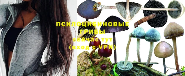 apvp Киреевск