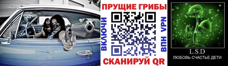 купить наркотик  Красновишерск  Псилоцибиновые грибы Psilocybe 